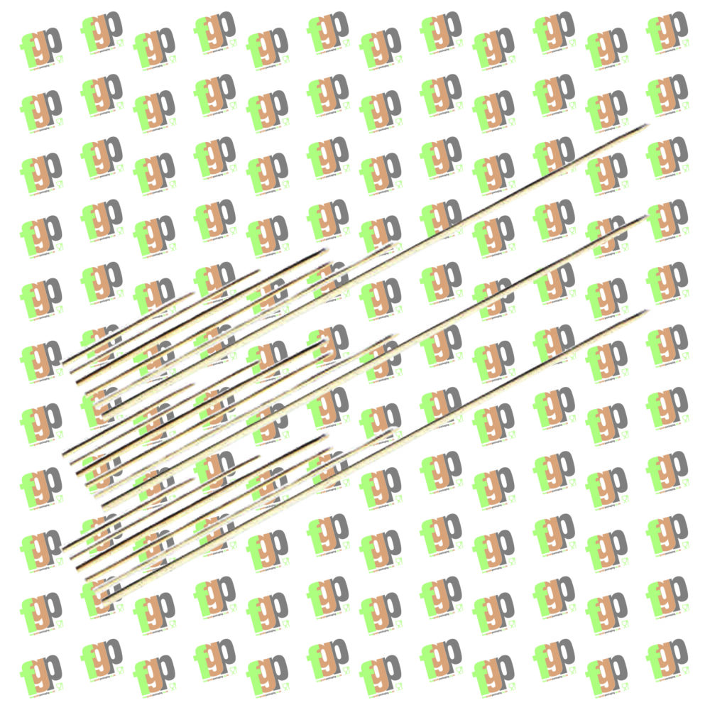 Bamboo Skewers (2.5Mmx15Cm) 25X100S